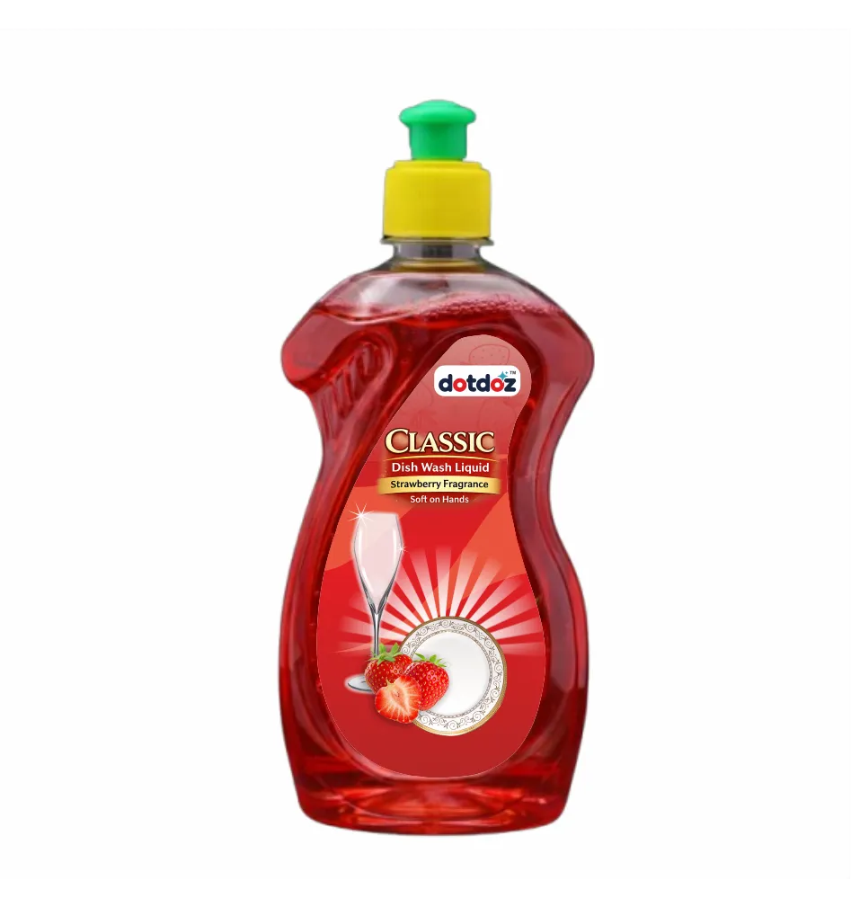 ⁠Dishwash Cleaner (250ML)